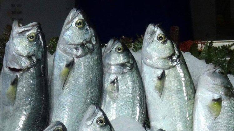 Son 10 yılın en bol dönemi! 25 liraya kadar düştü