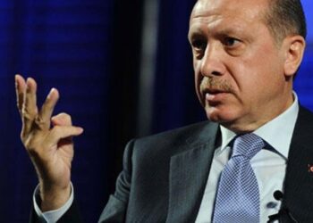 Erdoğan’ın ‘üç çocuk’ tavsiyesinin nedeni belli oldu