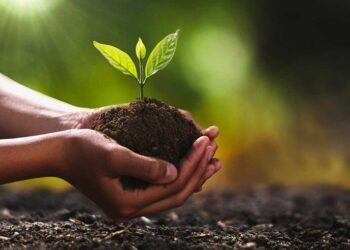 Moğolistan bir milyar ağaç dikmek üzere ulusal kampanya başlattı