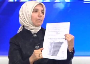 AKP’li Hüsnüye Erdoğan: Zam gelmiştir ama mini mini gelmiştir