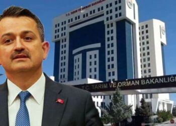 CHP’li Özer açıkladı: DDK harekete geçti, soruşturma başlatıldı