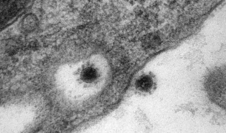 Koronavirüsün Delta Plus mutasyonu görüntülendi