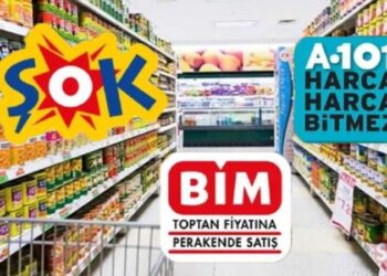 Salgında BİM’in Şok’un kârları arttı