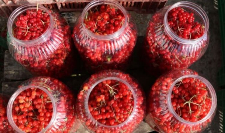 Bir haftada 300 kilo sattı