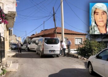 96 yaşındaki annesini, başına taşla vurarak öldürdü