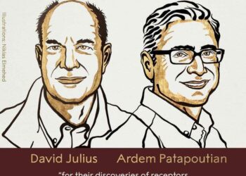 2021 Nobel Tıp Ödülü “ısı ve temas reseptörlerinin keşfi”ne verildi