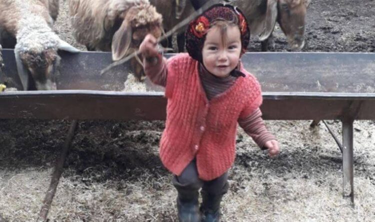 Sosyal medyada ‘Müslüme’ isyanı: “Hayatımız her yaşta tehlikede”