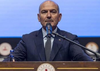 Erk Acarer: Soylu, devleti sigortalamış