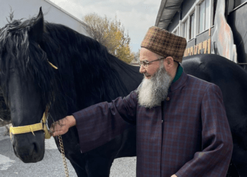 Cübbeli Ahmet: Beni satsalar beş para etmem