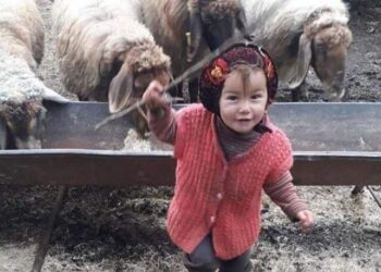Küçük Müslüme’nin dedesi tutuklandı!