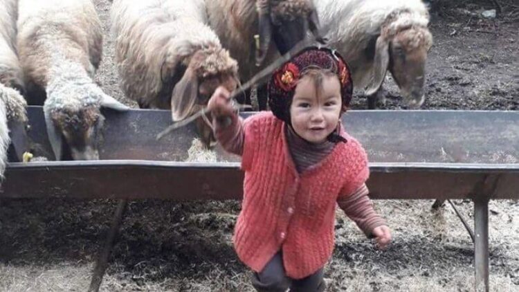 Küçük Müslüme’nin dedesi tutuklandı!