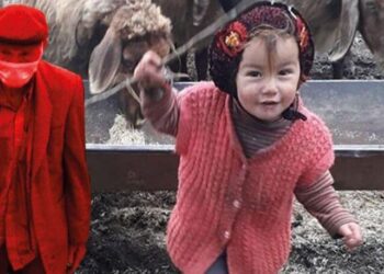Müslüme’nin ağabeyinden açıklama: Dede neden tutuklandı?