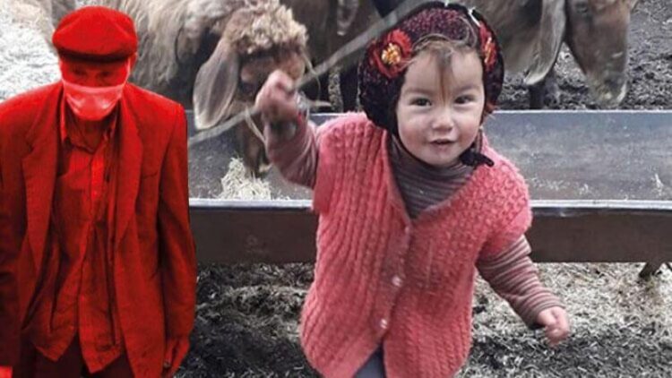 Müslüme’nin ağabeyinden açıklama: Dede neden tutuklandı?