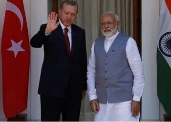 ‘Erdoğan iklim zirvesine Hindistan’a ayrıcalık verilmesine kızdığı için gitmedi’