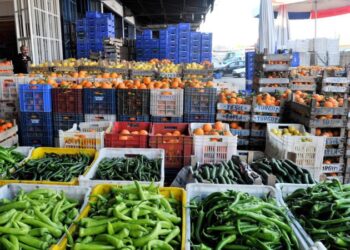 Rusya, Türkiye’den nar ve biber ithalatını durdurdu