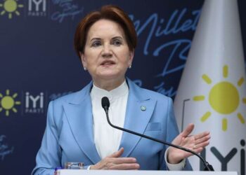 Meral Akşener’den ‘ittifaklara yeni parti’ açıklaması