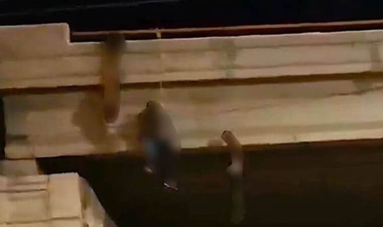 Meksika’da 9’u üst geçide asılı, 10 ceset bulundu