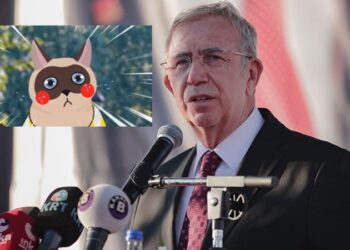 Mansur Yavaş’tan kedisi için açılan hesaba “Pikacu” yanıtı