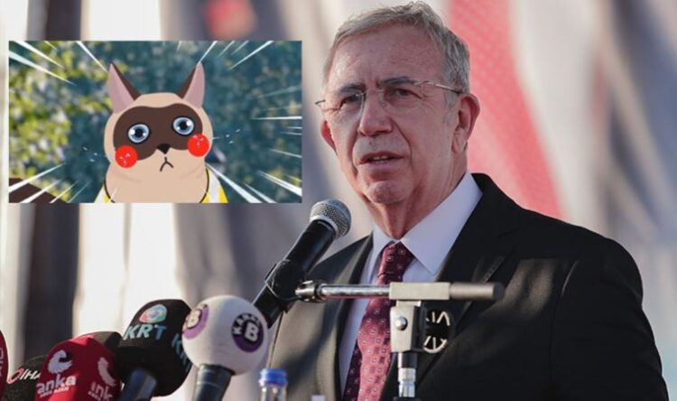 Mansur Yavaş’tan kedisi için açılan hesaba “Pikacu” yanıtı