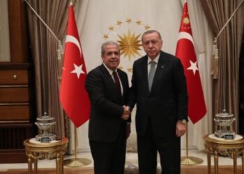Şamil Tayyar: Ufukta sandık gözüktü