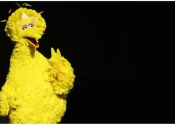 Minik Kuş’a ‘komünist’ suçlaması