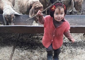 Müslüme’nin ölümüyle ilgili yayın yasağı getirildi