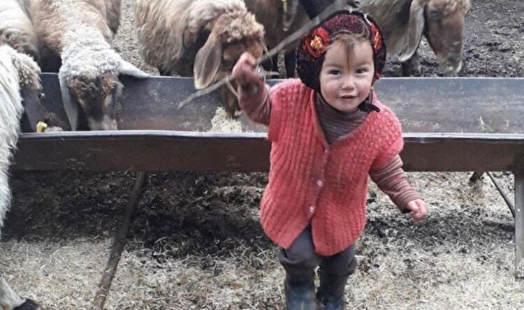 Müslüme’nin ölümüyle ilgili yayın yasağı getirildi