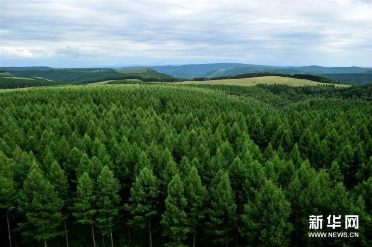 Xi’den BM iklim değişikliği zirvesine yazılı mesaj