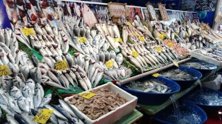 Lüfer gitti, yerine o geldi: 40 TL’den 25 TL’ye düştü