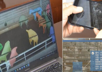 Ensest ilişkiyi engelleyecek yüz tanıma teknolojisi