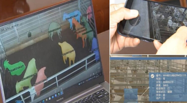 Ensest ilişkiyi engelleyecek yüz tanıma teknolojisi