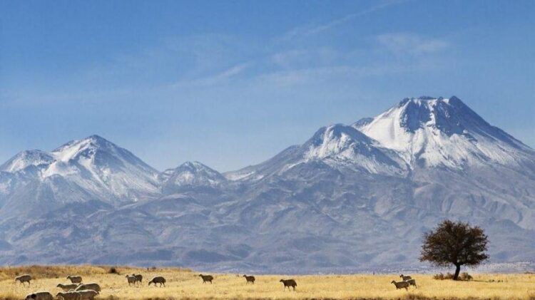 AFAD: “Depremler Hasan Dağı volkanını harekete geçirdi”