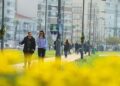 Hava sıcaklıkları hafta ortasına kadar artacak