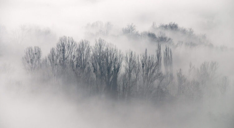 İstanbul’a “Sarı” kodlu sis uyarısı
