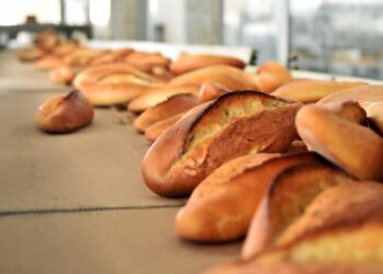 Gıda krizi kapıda: Ekmek 6 lira olabilir!