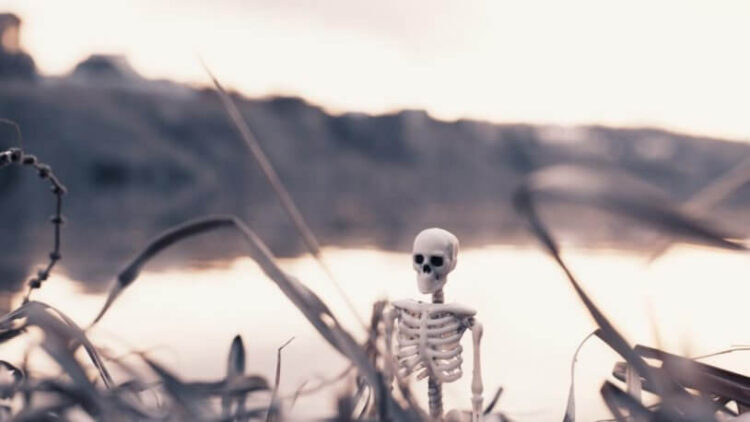 İnsan türü için sona mı gelindi? ‘Yok edilmeye mahkum’