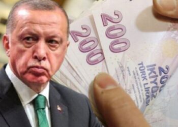 ‘Liranın çöküşü Erdoğan’ı neden endişelendirmiyor?’ BBC’den çarpıcı analiz