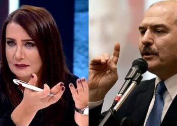 Soylu’nun ‘Sedat Peker’ yazıları nedeniyle dava açtığı Sevilay Yılman’ın ifadesi ortaya çıktı
