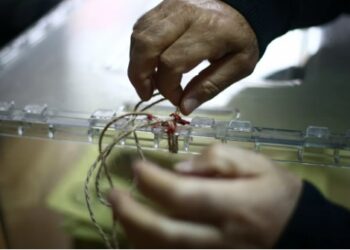 CHP, Sandık Savunma Hareketi’ni kurdu