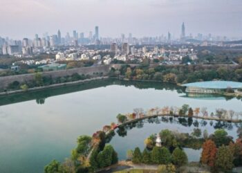 Çin’in Jiangsu eyaletinde Ocak-Ekim döneminde doğrudan yabancı yatırım güçlü büyüdü