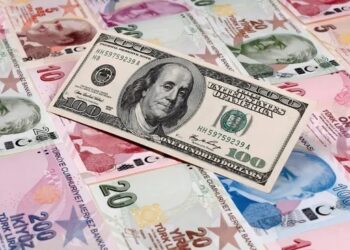 Merkez Bankası yetkilileri yarın yatırımcılarla görüşecek