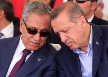 Arınç’tan Erdoğan’a: Ona da yazık, üzülüyorum…