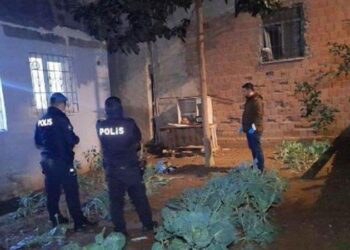 Bahçede yeni doğmuş bebek bulundu