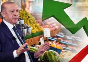 Dünyaca ünlü ekonomistten Erdoğan’a sert tepki: ‘Rüya görüyor olmalı’