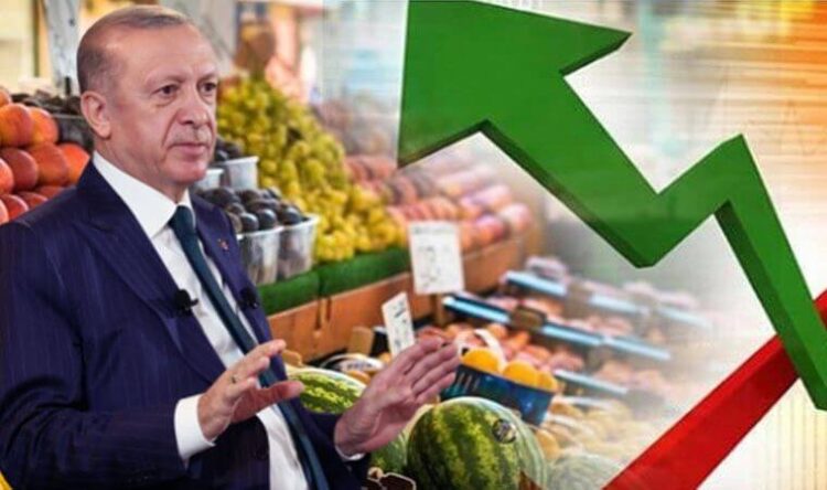 Dünyaca ünlü ekonomistten Erdoğan’a sert tepki: ‘Rüya görüyor olmalı’