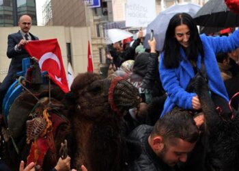 Develi eşekli ‘PCR’ ve ‘HES kodu’ protestosu