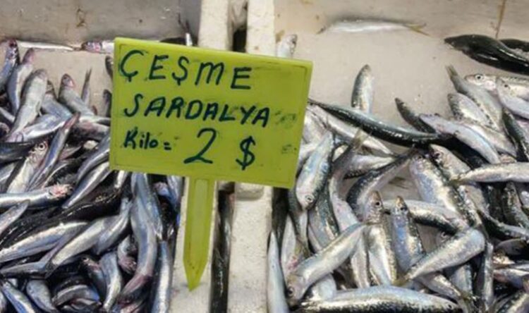 Özdil’in paylaştığı fotoğraf sosyal medyanın gündemine oturdu