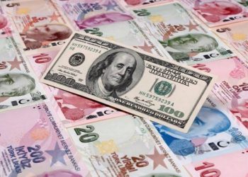 ABD basınından çarpıcı Türkiye analizi: Türk Lirası neden kaya gibi düşüyor?