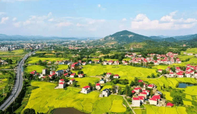 CMG, 2021’nin en önemli 10 ekonomik olayını seçti