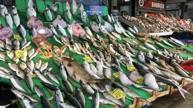 Dolara özendi! Rekor seviyeye ulaştı